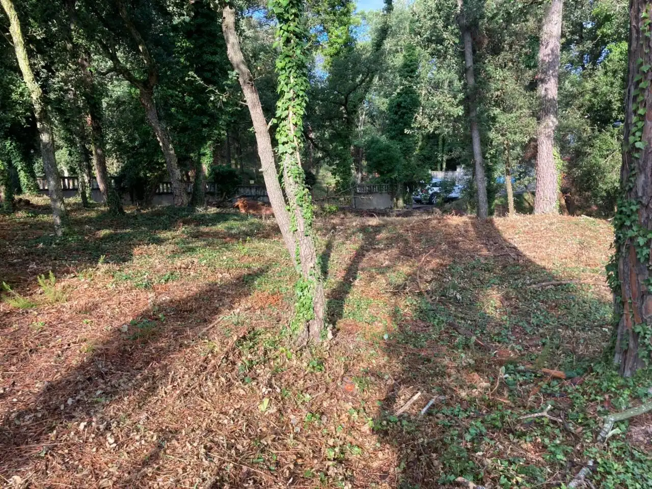 Terreno residencial en venta en Caldes de Malavella, imagen 10