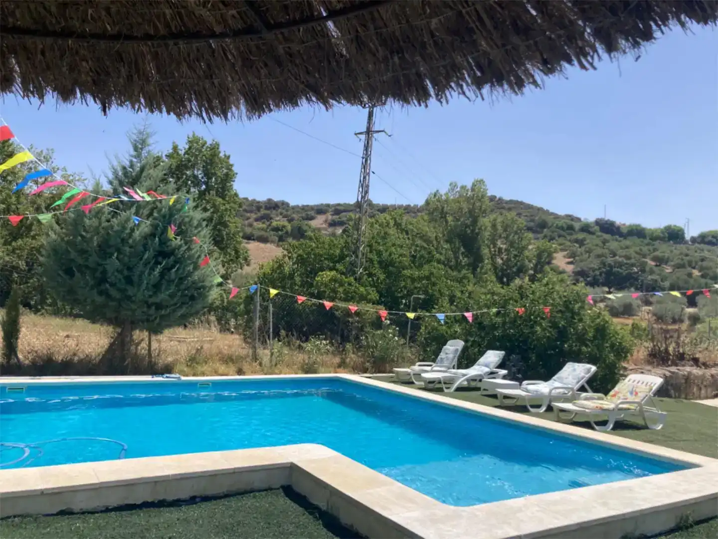 Piscina de Casa o chalet en venta en Alcalá del Valle con Jardín privado, Trastero y Piscina