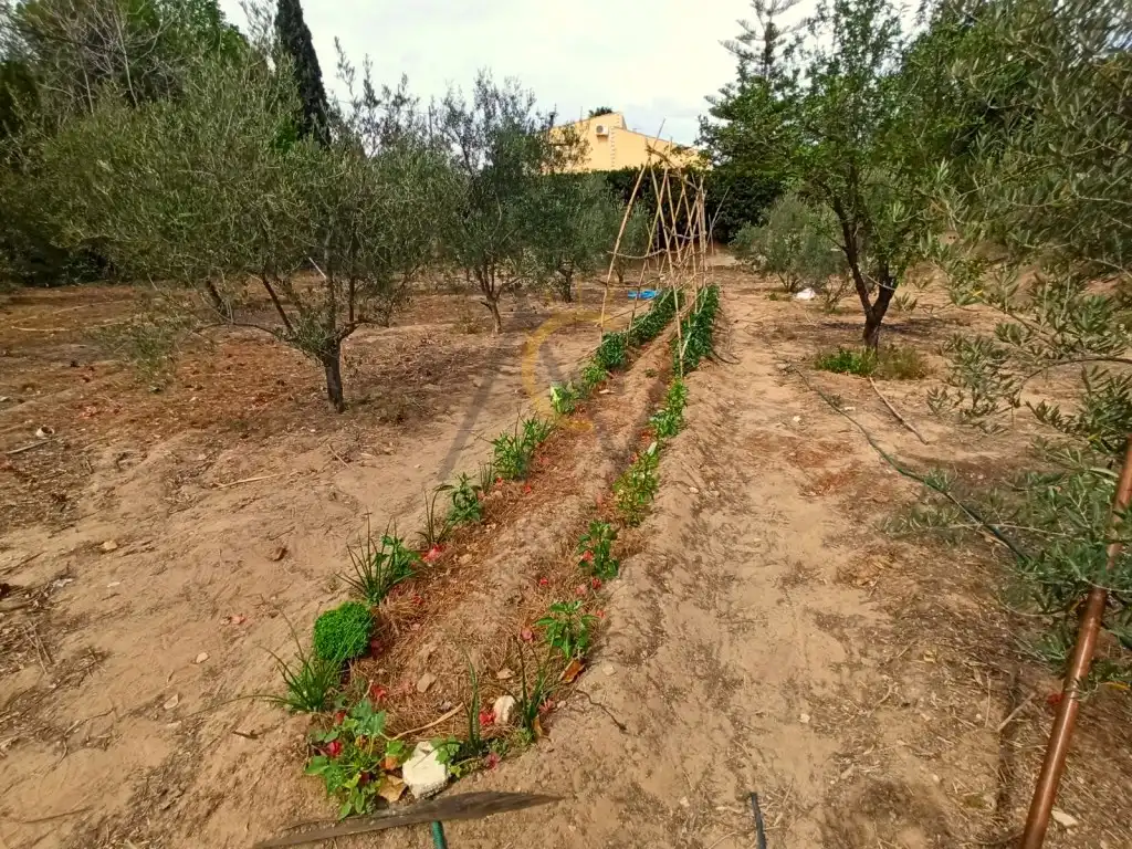 Finca rústica en venta en Calle Puchi, Campo Alto - Club de Campo