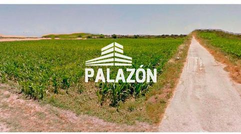 Finca de cultivo en venta en Callosa de Segura Alicante, imatge 2