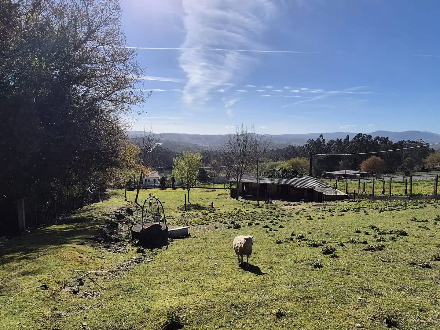 Jardí de Casa o xalet en venda en Ames amb Jardí privat