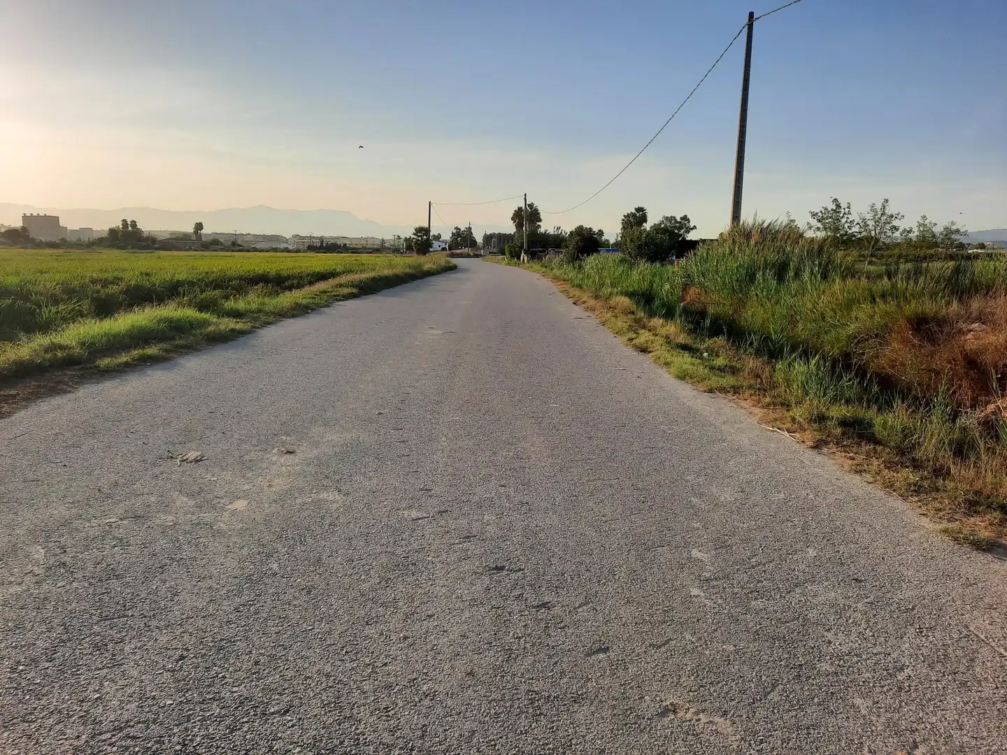 Terrain rustique à vendre à Eucaliptus- Poble Nou del Delta, imagen 14