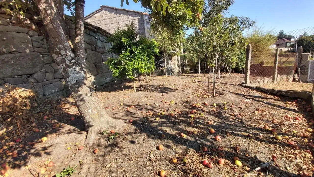 Casa o xalet en venda en San Cristovo de Cea amb Calefacció, Jardí privat i Terrassa