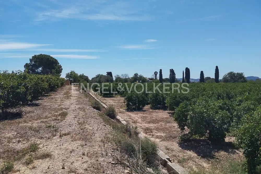 Terrain rustique à vendre à Casco Antiguo, imagen 6