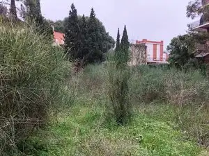 Terrain rustique à vendre à Carrer Montalegre, imagen 17