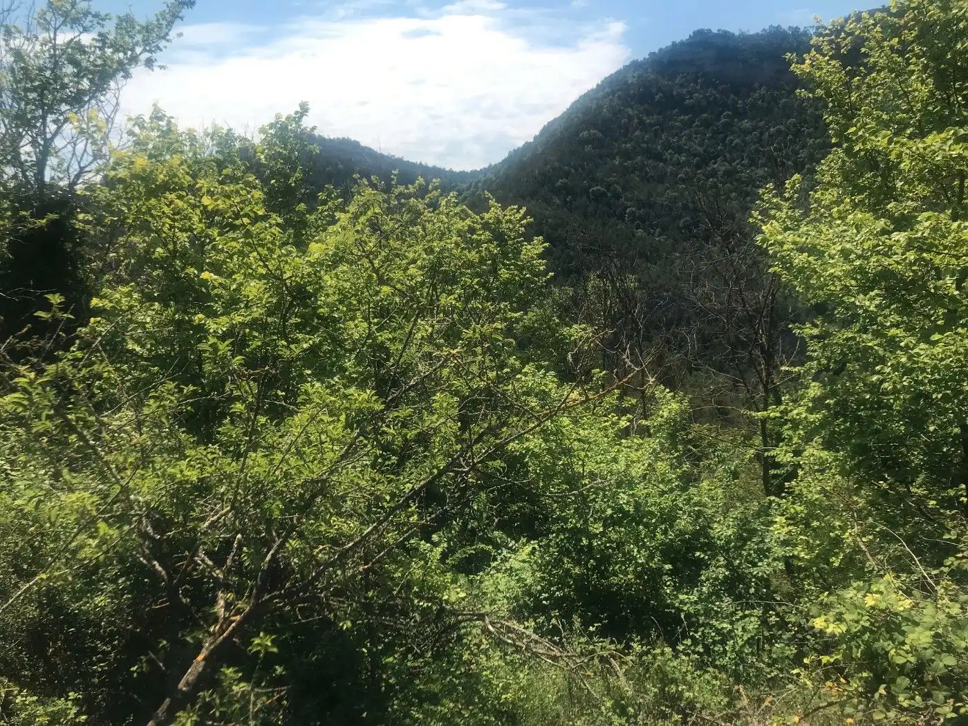 Wohnbaugrundstück zum Verkauf in Borredà, imagen 14