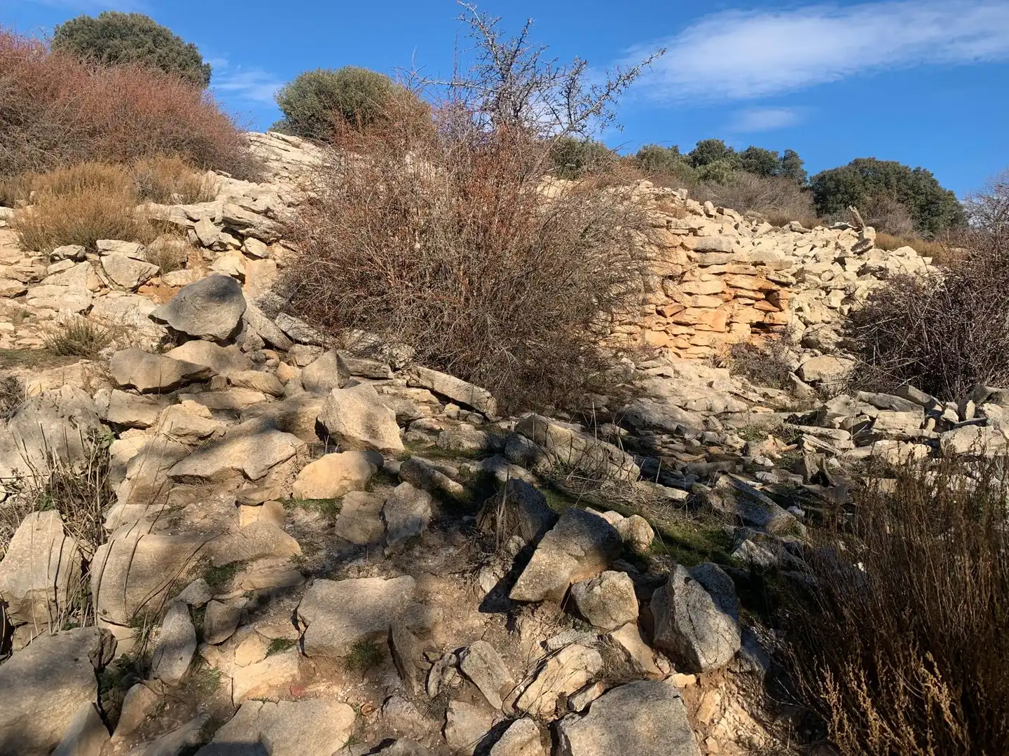 Terreny en venda en Nerpio