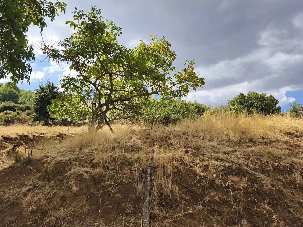 Land for sale in Calle Manuel León, Cortegana