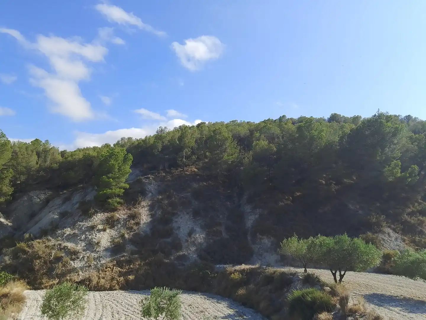 Terreno rustico in vendita a N/A, imagen 111