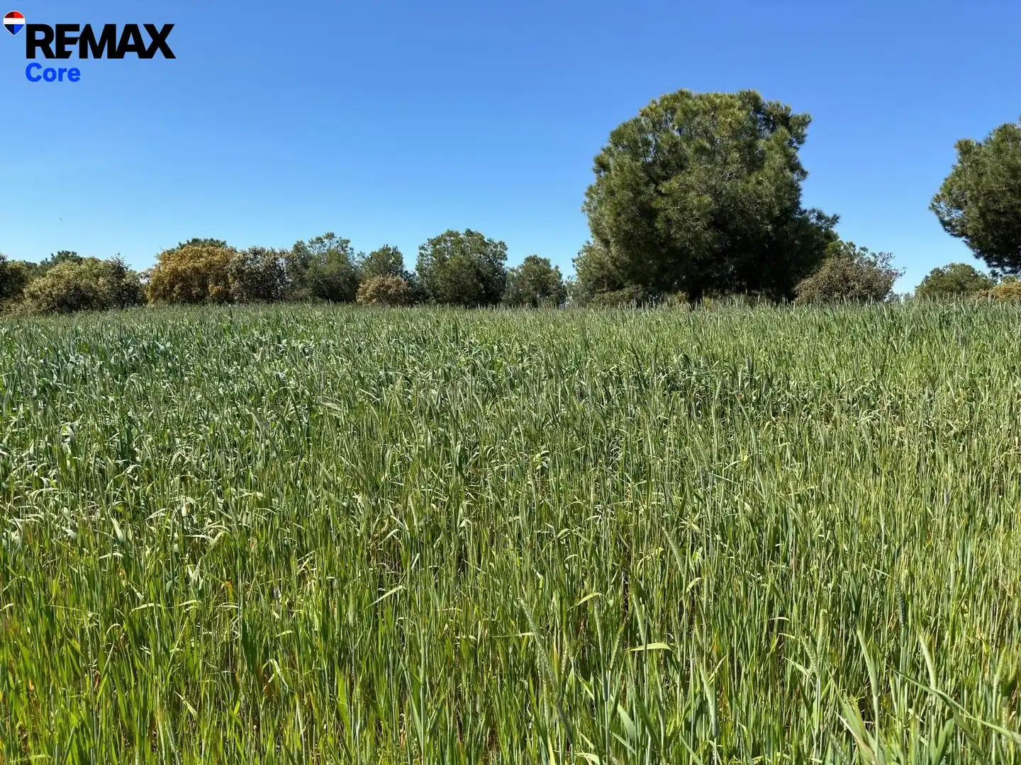 Land for sale in Valencia de las Torres