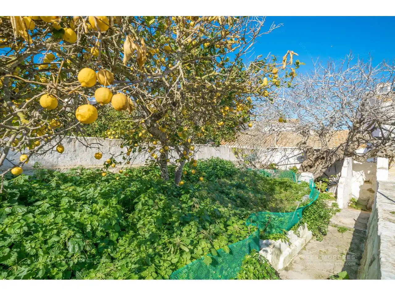 House with garden for sale in Maó ciutat, imagen 24