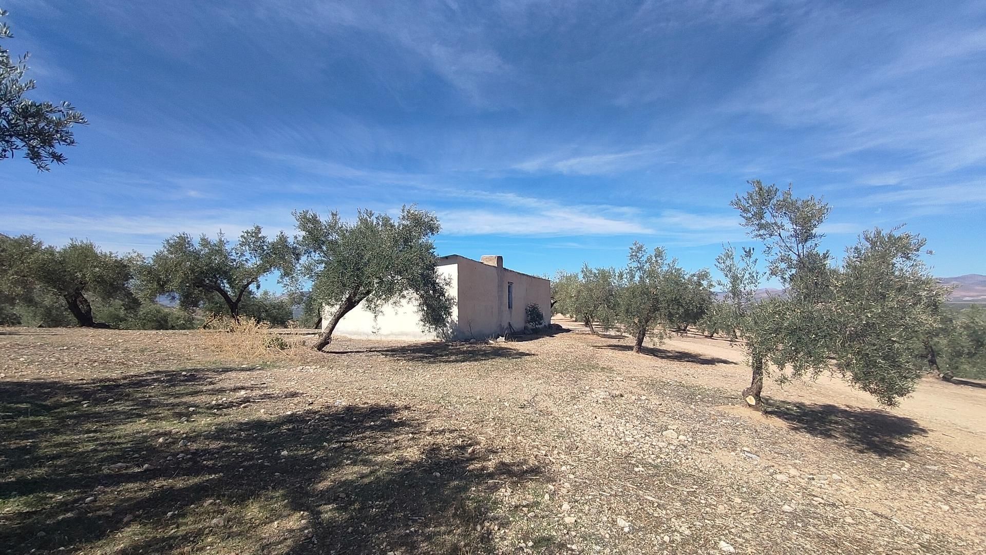 Land for sale in Albolote