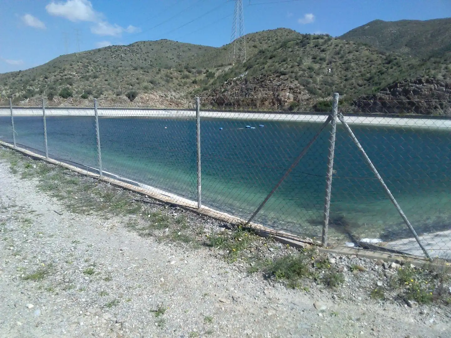 Swimming pool of Land for sale in Lorca