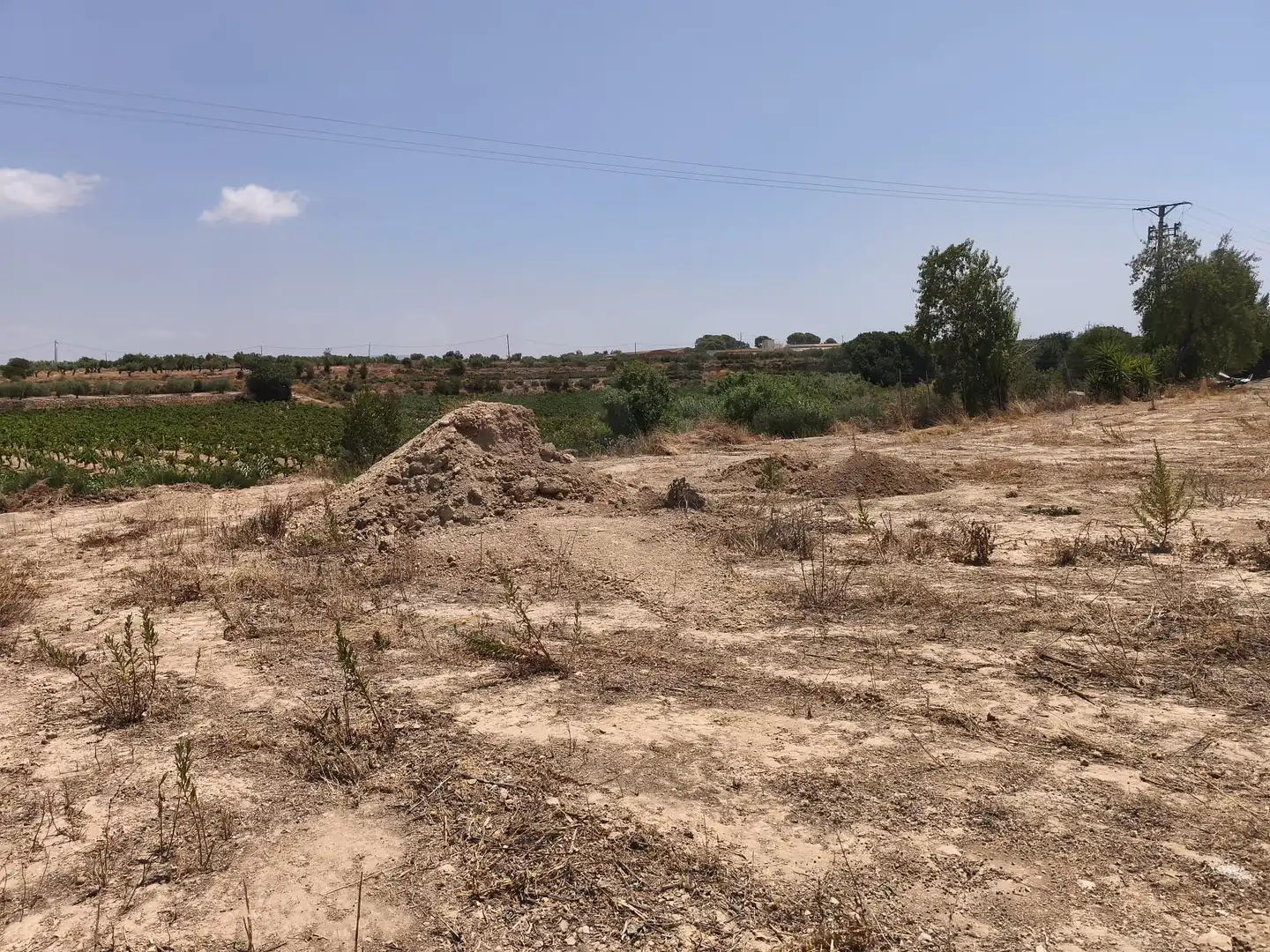 Rustikales Grundstück zum Verkauf in Sant Jaume dels Domenys, imagen 28