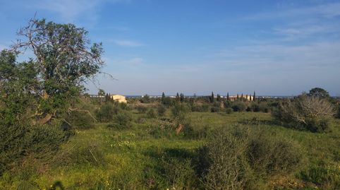 Photo 2 of Land for sale in Cala Millor, Son Servera