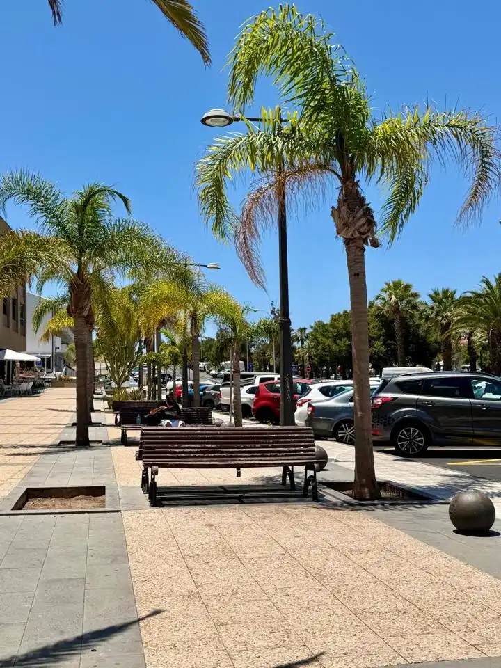 Local comercial en venda a Roque De Jama, imagen 5