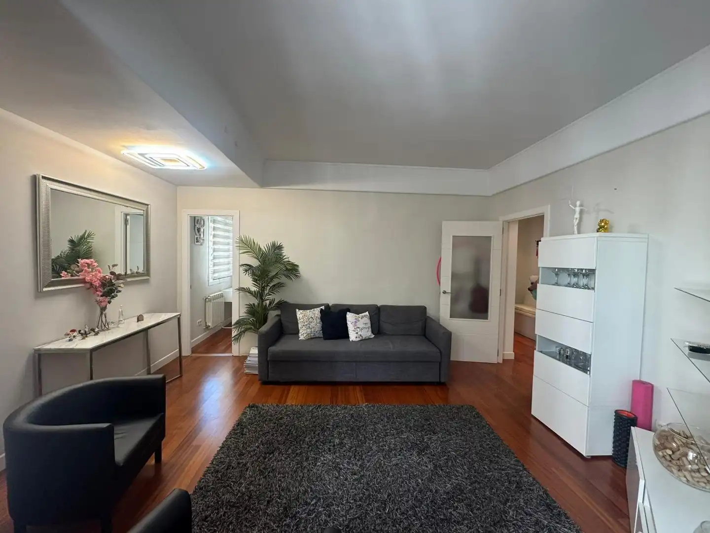 Sala de estar de Piso de alquiler en Madrid con Aire acondicionado y Calefacción