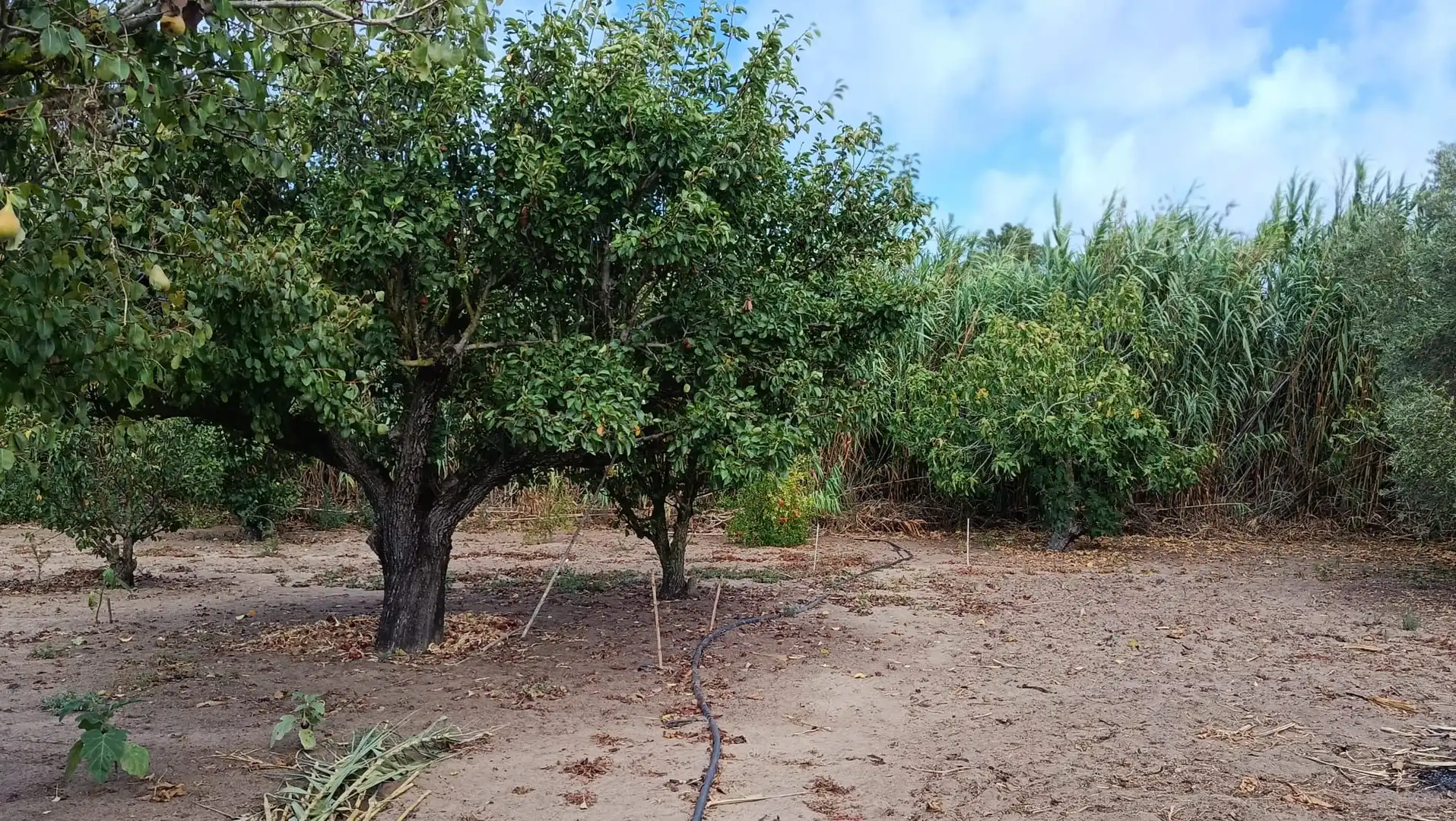 Terreno en venta en Rota
