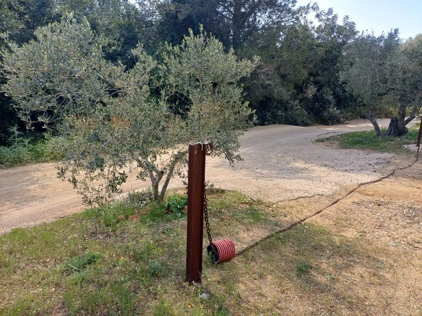 Casa rustica in vendita a N/A, imagen 4