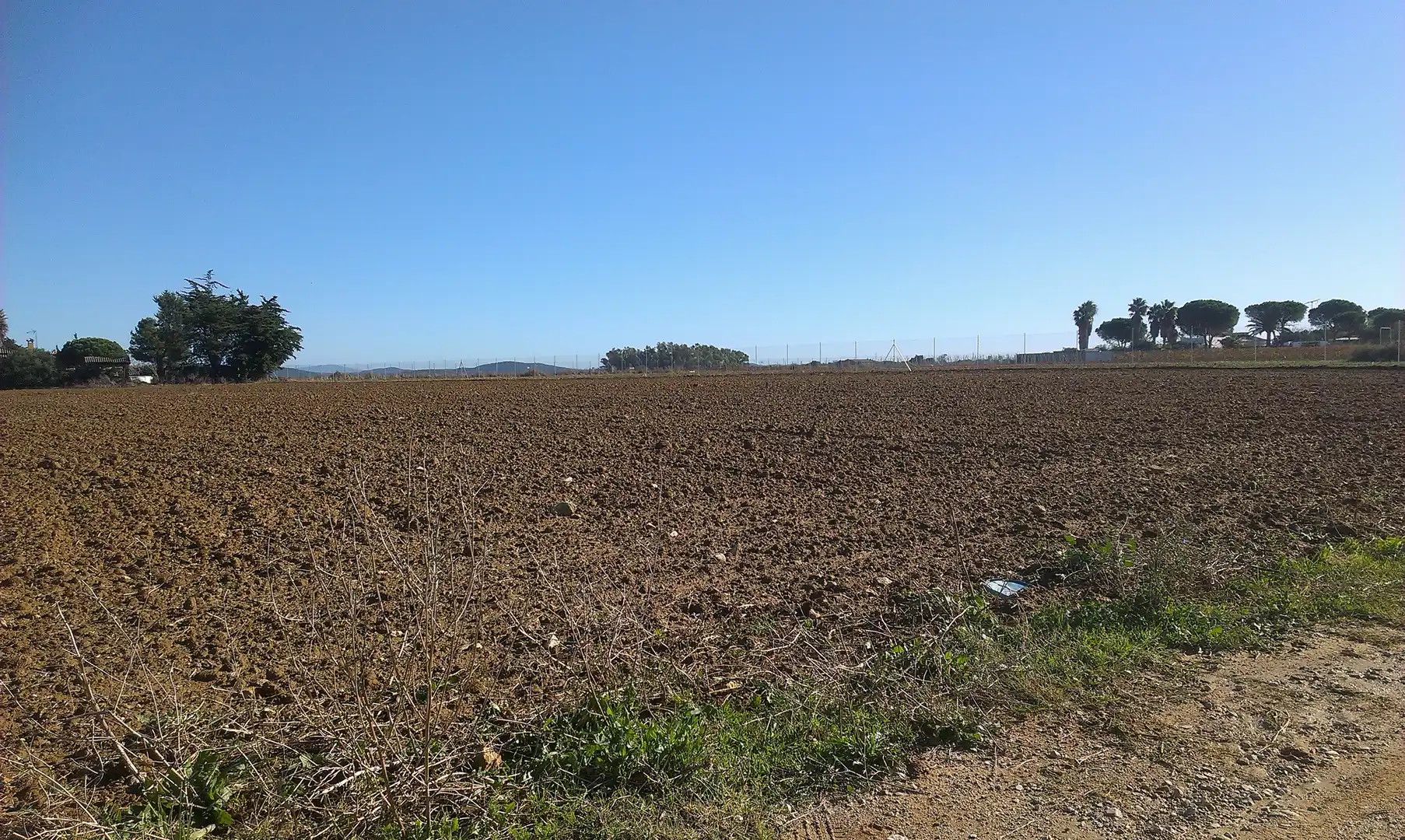 Terreny rústic en venda a Medina Sidonia