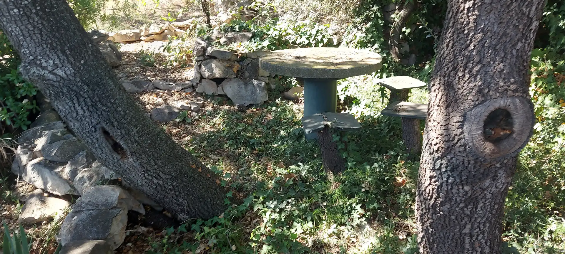 Terreno rustico in vendita a Cervera del Maestre, imagen 9