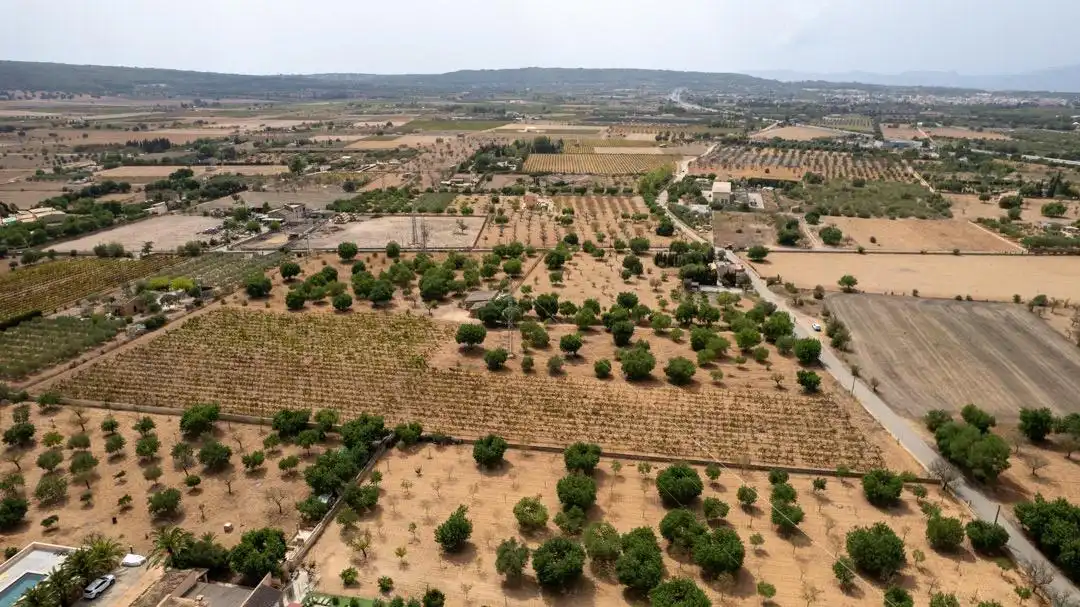 Land for sale in Consell