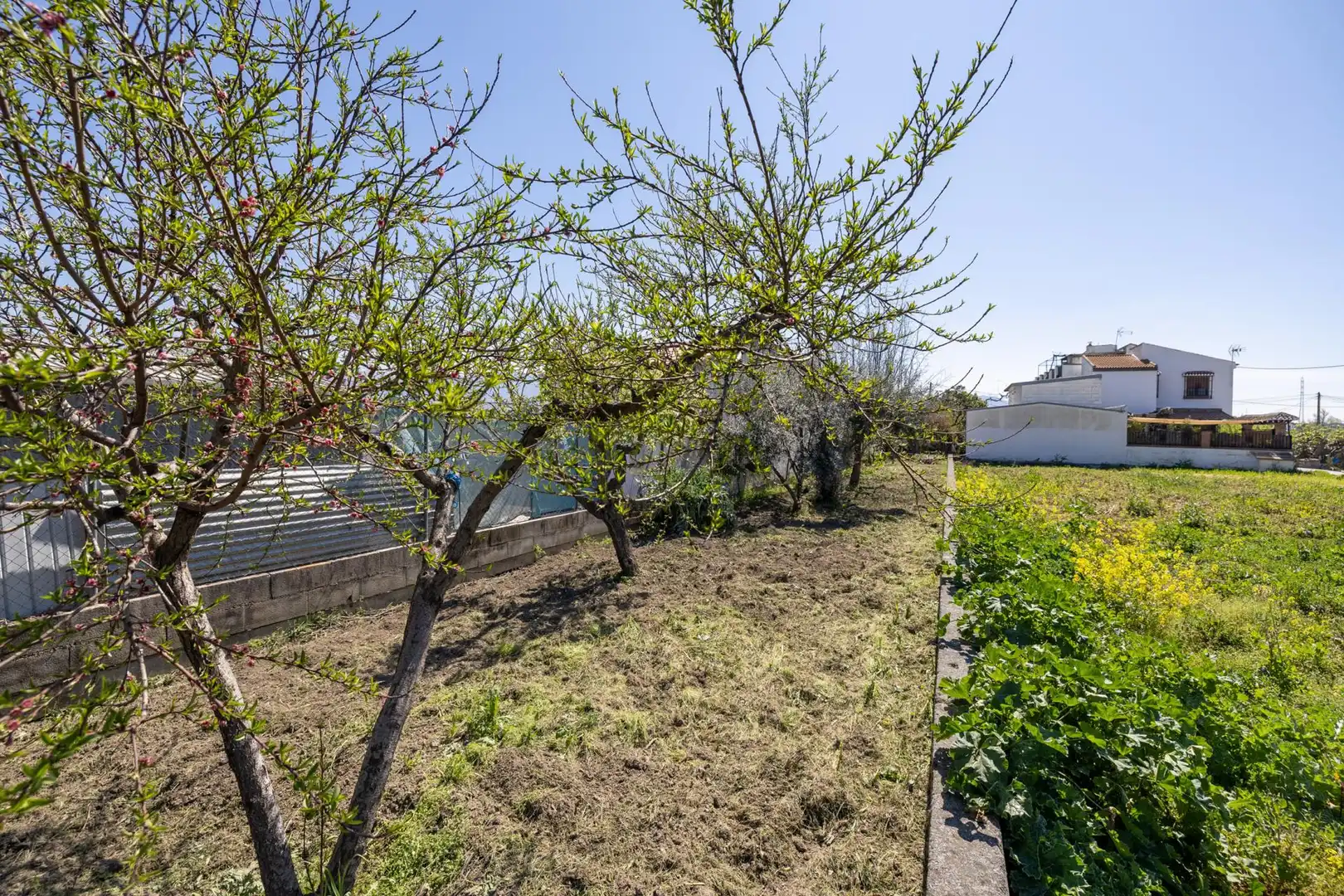 Country house zum Verkauf in Armilla mit Privatgarten und Terrasse