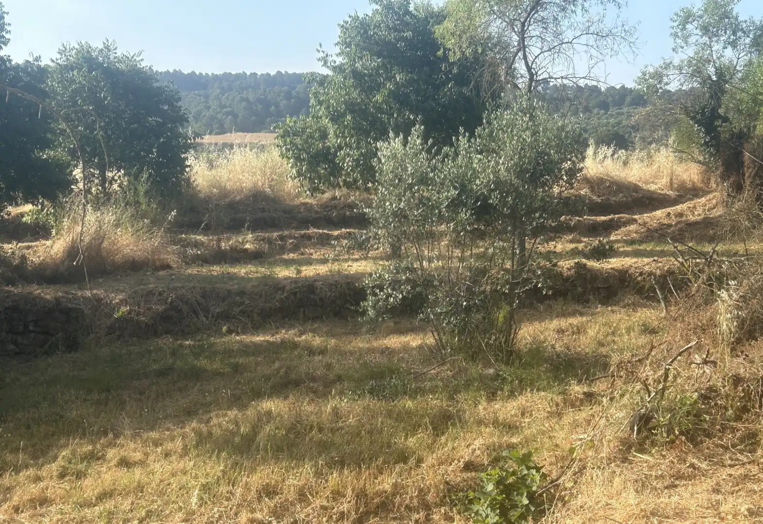 Wohnbaugrundstück zum Verkauf in Artés, imagen 7