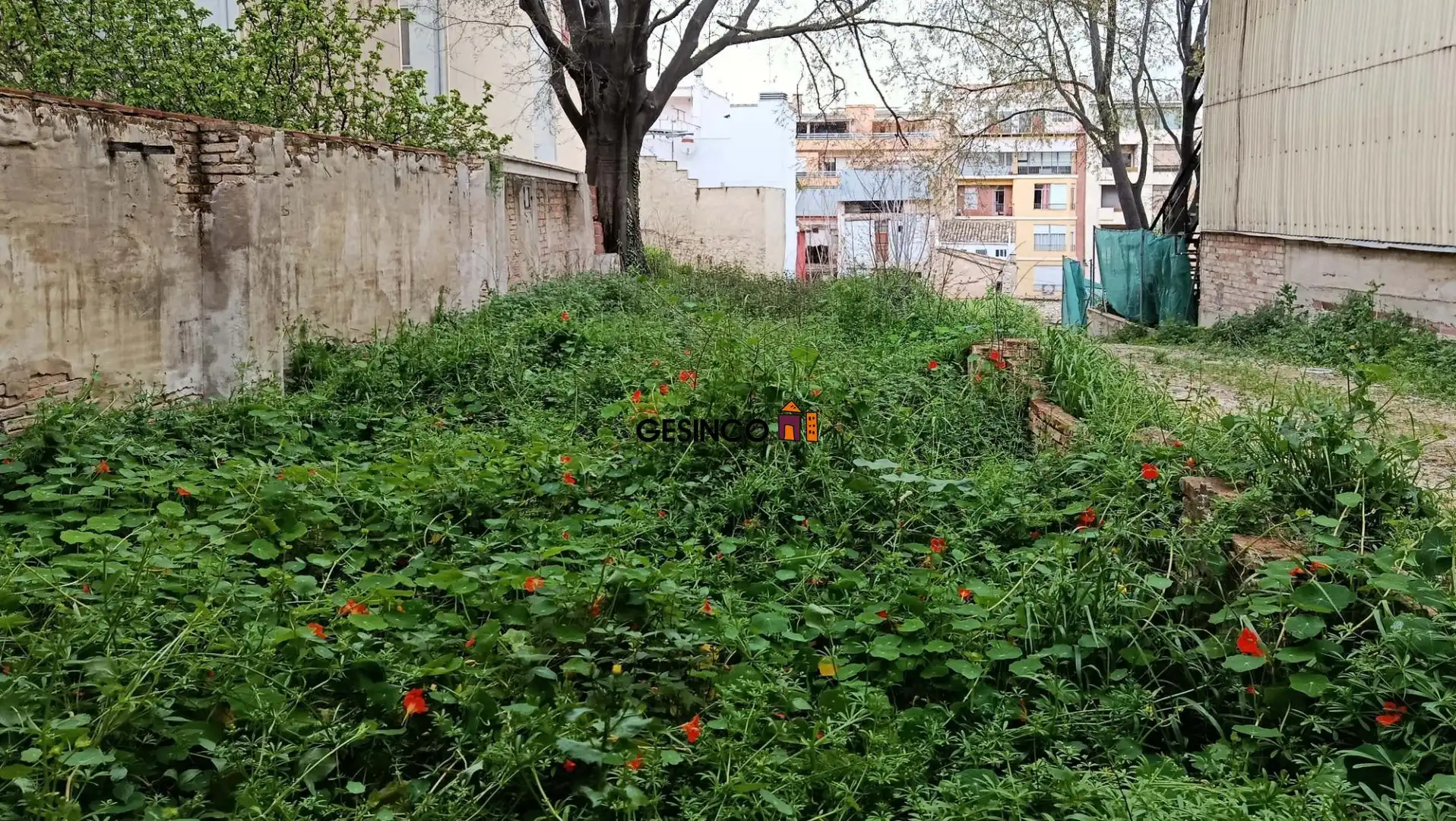 Casa en venta en Centro, imagen 2