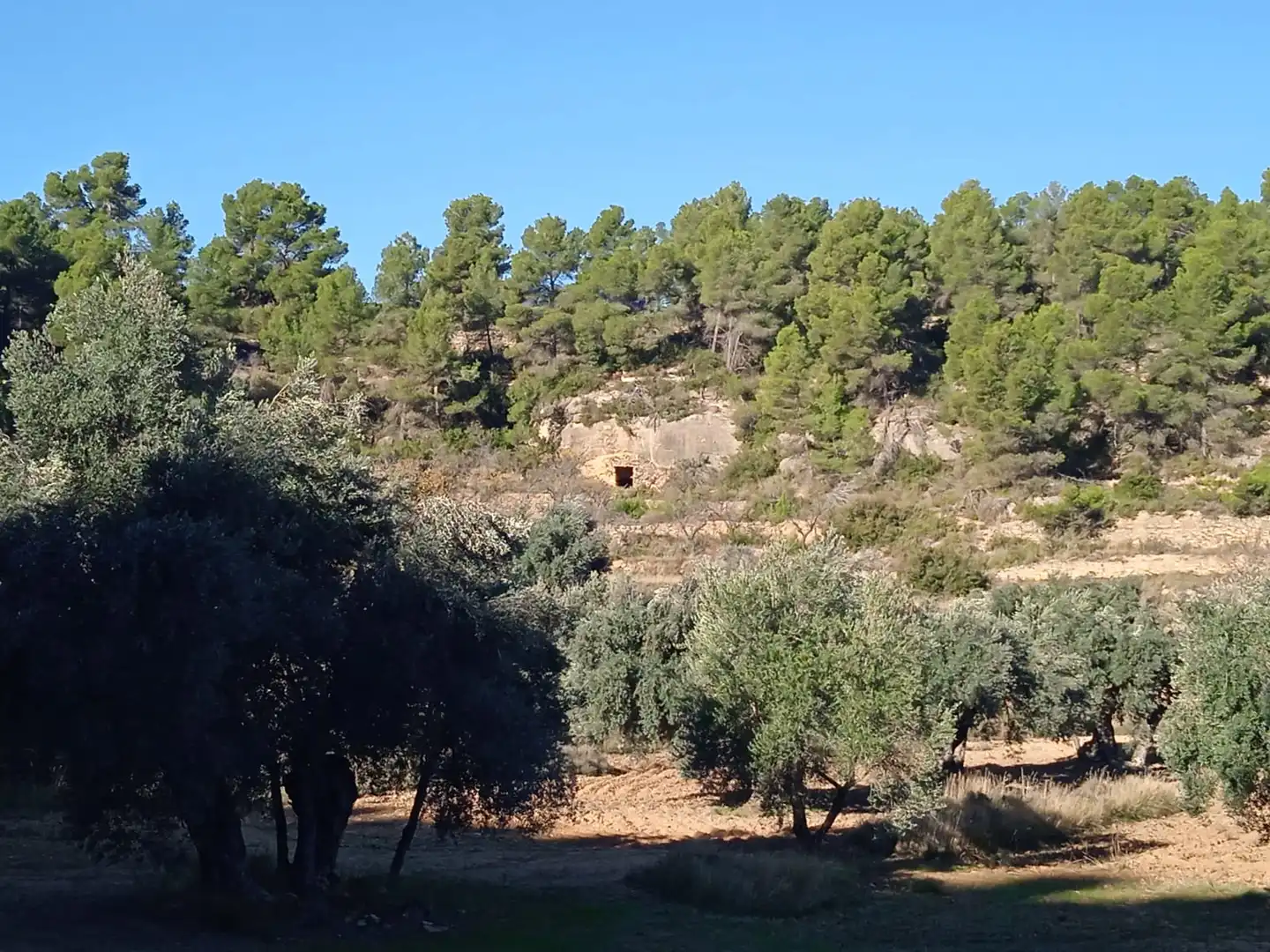 Terreni e lotti in vendita a La Fresneda, imagen 4