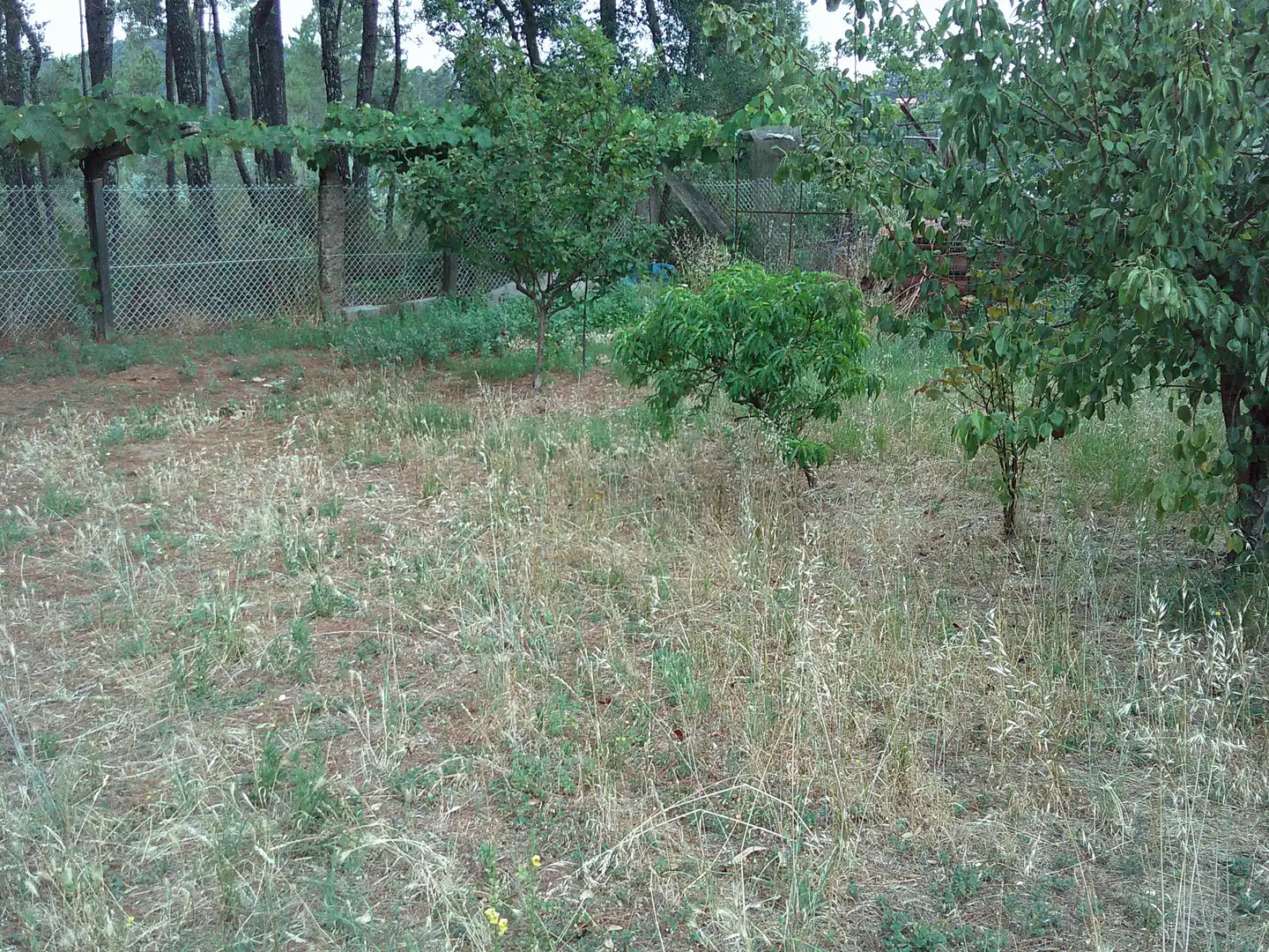 Wohnbaugrundstück zum Verkauf in Calle Picoña, imagen 6
