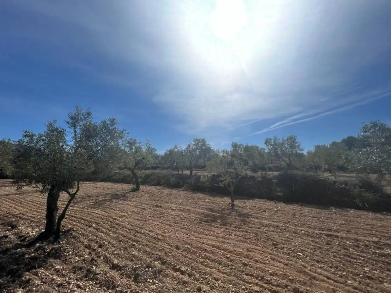 Chalet con jardín en venta en Calle Poligono, imagen 141