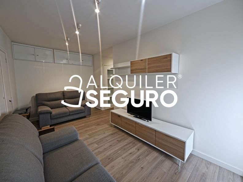 Living room of Flat to rent in  Madrid Capital  with Heating, Terrace and Furnished