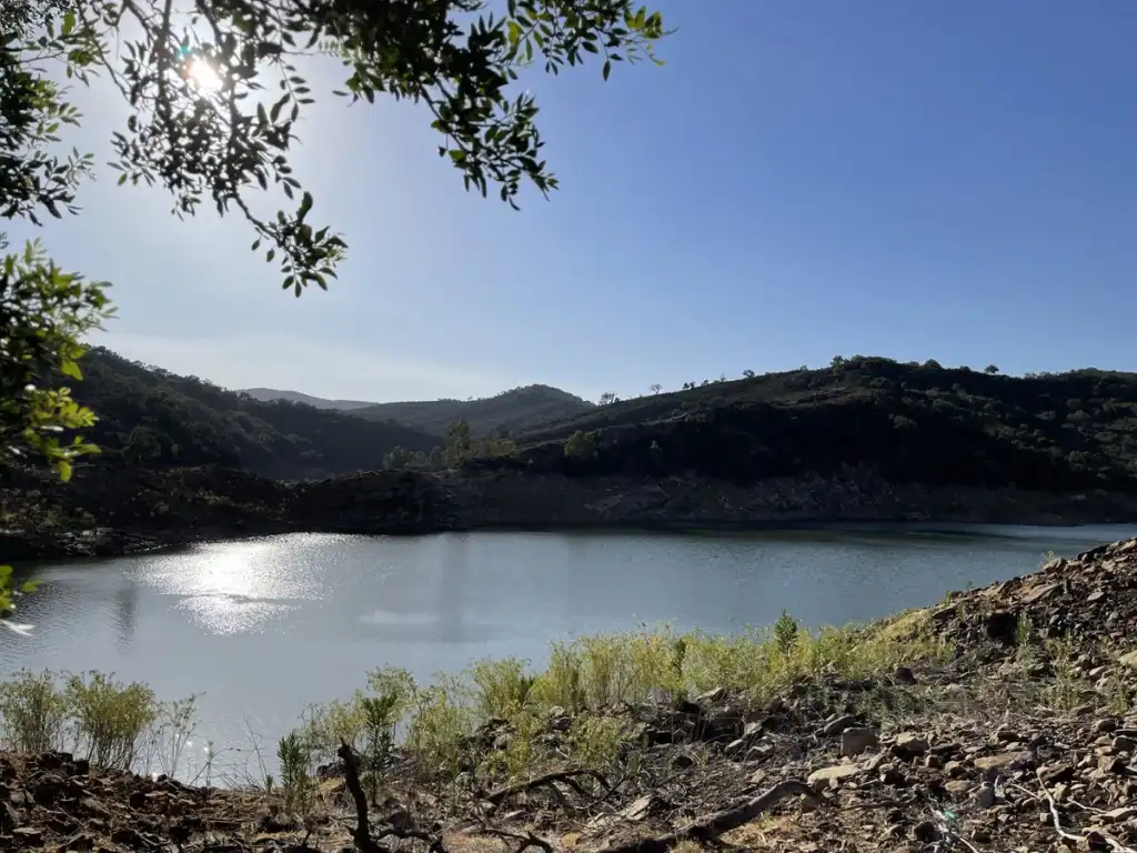 Exterior view of Country homes for sale in Castellar de la Frontera  with Private garden