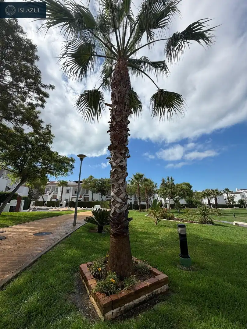 Exterior view of Attic for sale in Islantilla  with Air Conditioner, Heating and Terrace