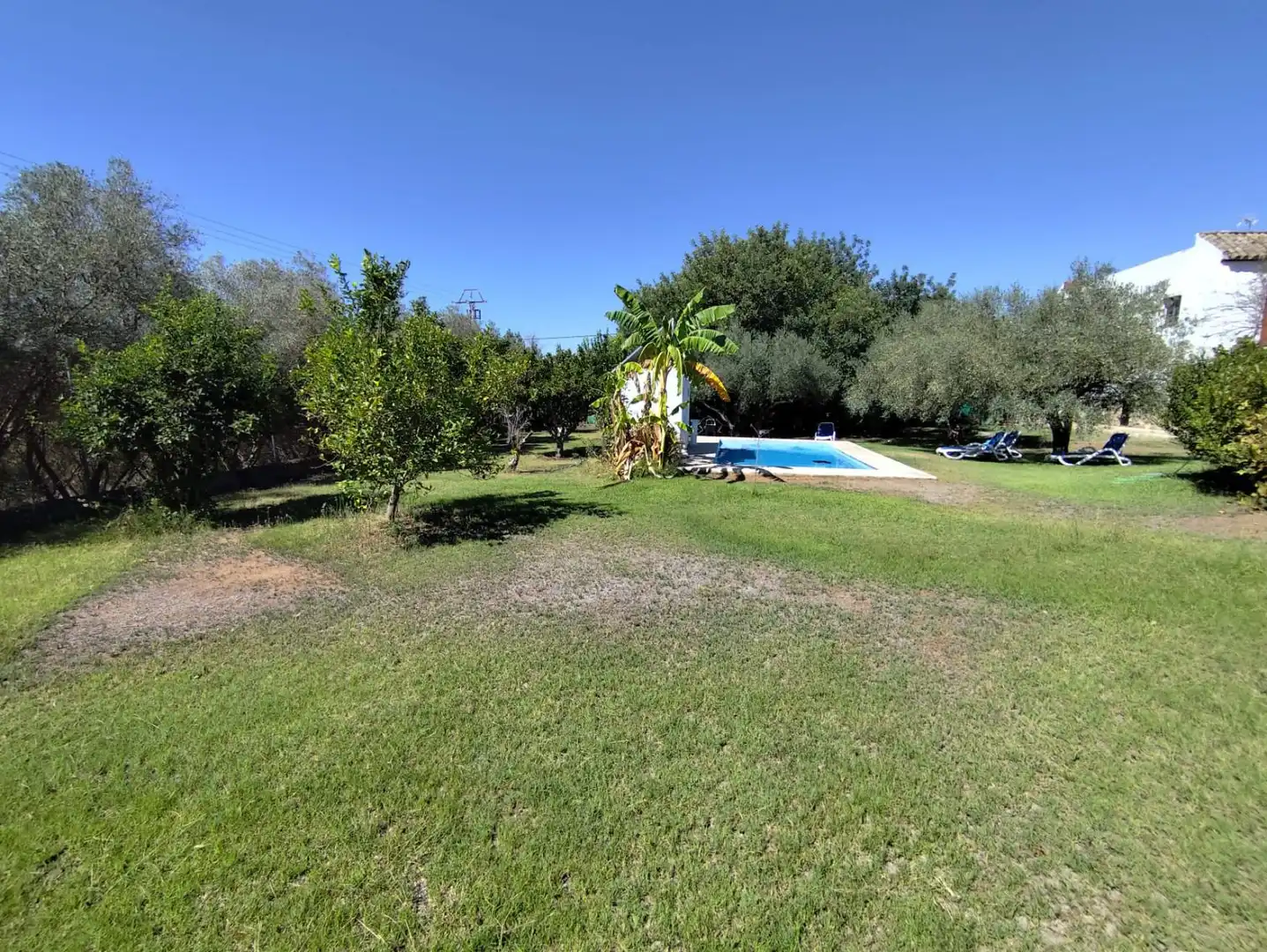 Jardí de Casa o xalet en venda en Arcos de la Frontera amb Terrassa