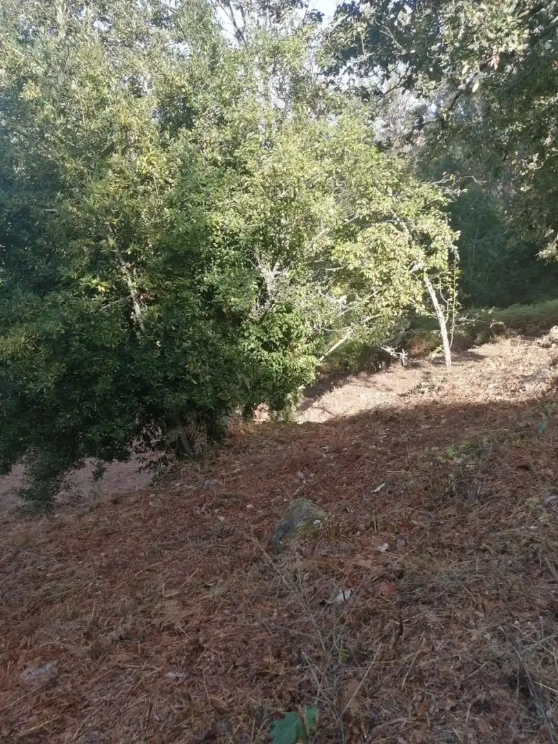 Finca rústica en venta en Ponteareas