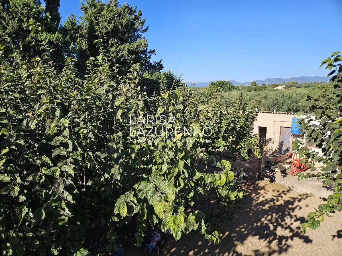 Finca rústica en venda en Vinyols i els Arcs