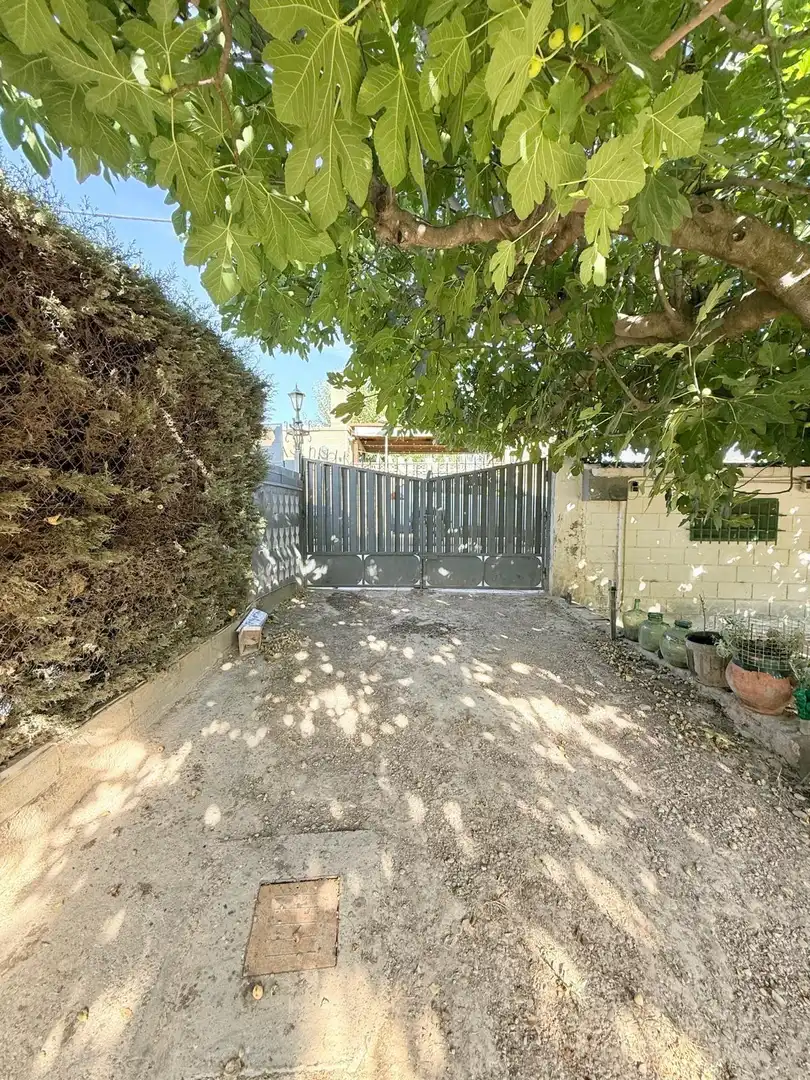 Terrain rustique à vendre à Cadrete, imagen 18