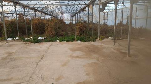 Photo 2 of Land for sale in Cv-84, 9005, El Toscar, Alicante