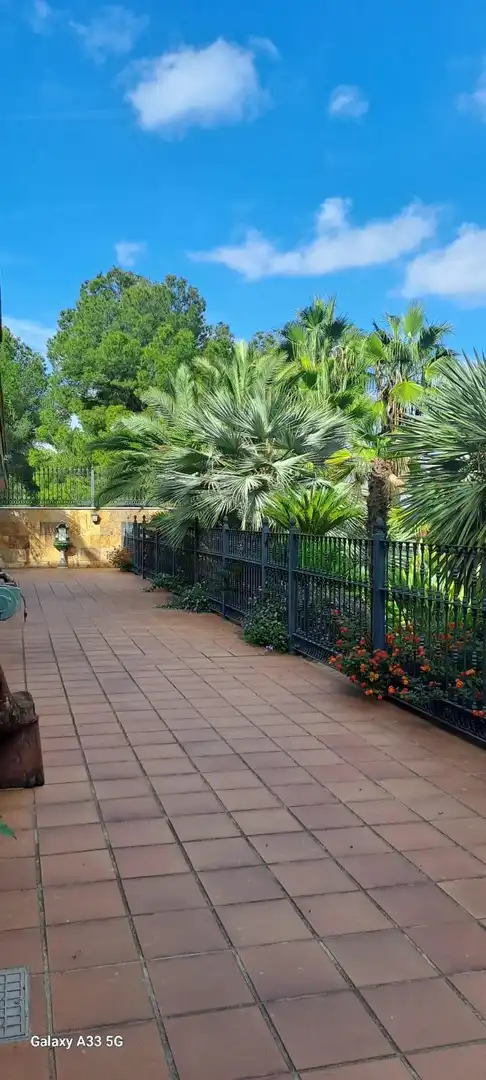 Chalet con piscina en venta en Pedanías Oeste, imagen 9