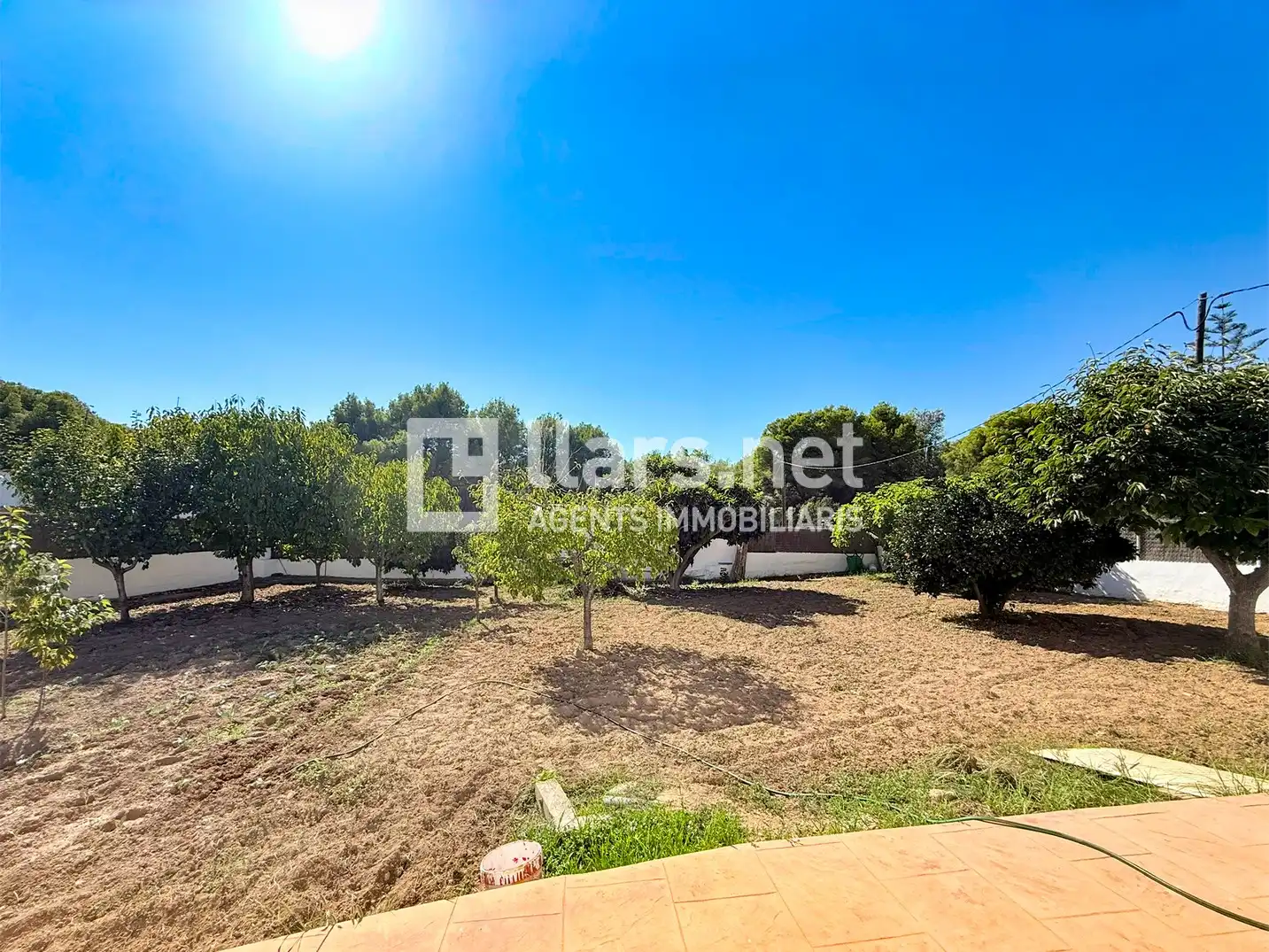 Rural land for sale in Nord, imagen 25