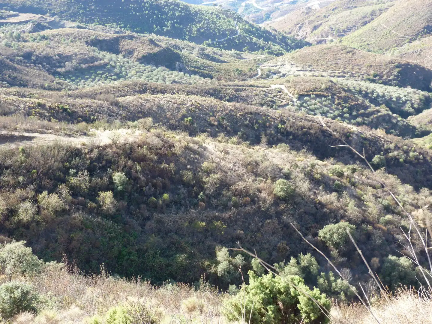 Terreni e lotti in vendita a Ítrabo, imagen 6