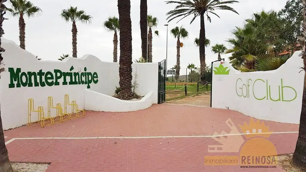 Detached homes for sale in Calle Nicolás Guillén, Altorreal - El Chorrico