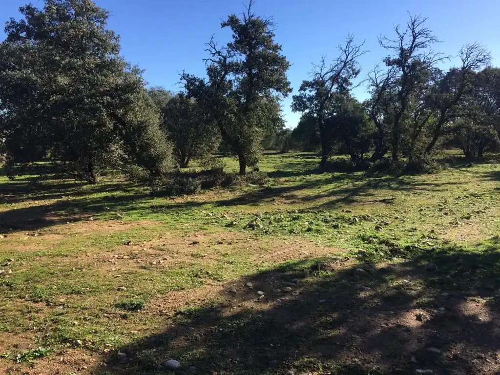 Terreno residenziale in vendita a San Román de los Montes, imagen 3