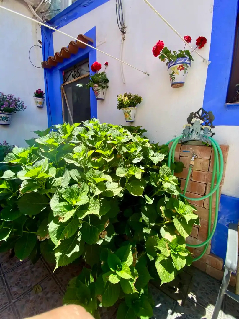 Garden of Detached homes for sale in Villarrubia de los Ojos  with Air Conditioner, Heating and Private garden