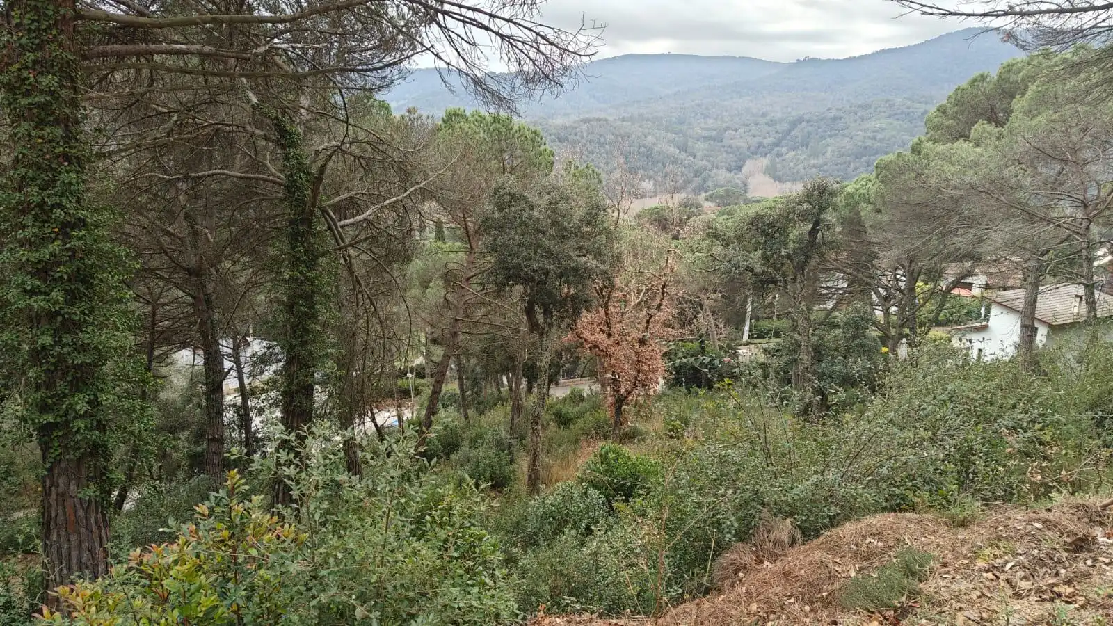 Terrenys i solars en venda a Vallgorguina, imagen 2