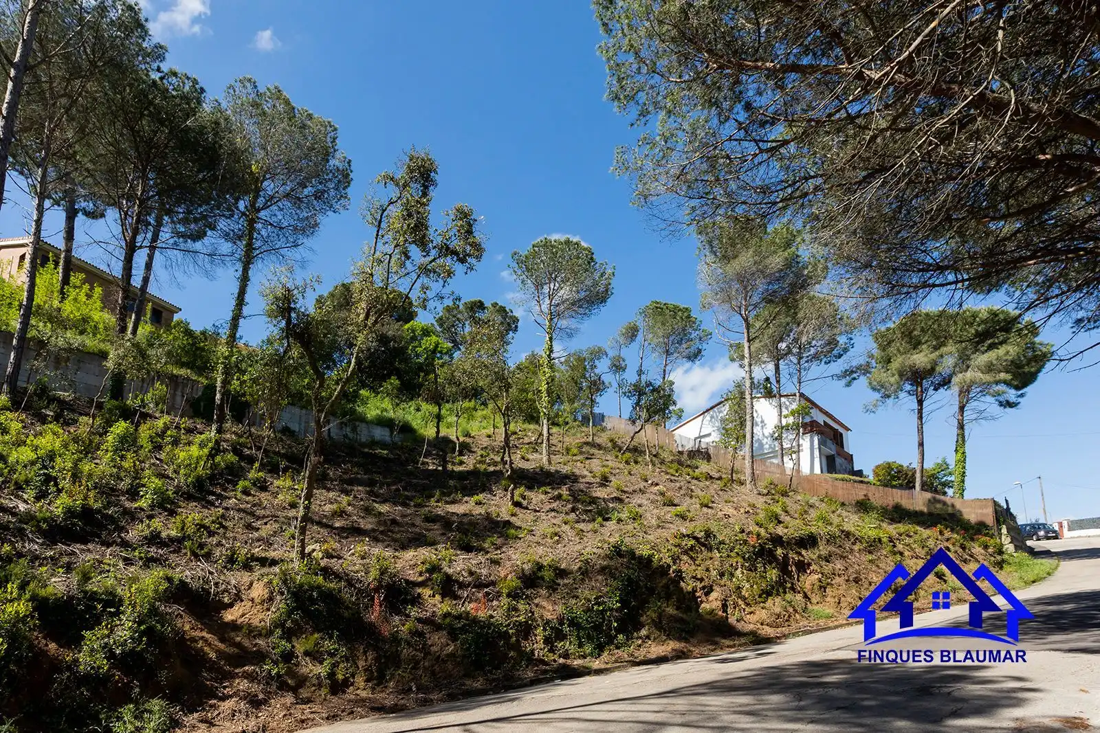Lands and plots for sale in Vallgorguina, imagen 6