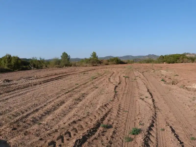 Finca rústica en venta en Calaceite