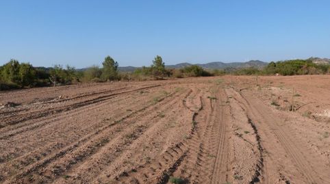 Foto 4 de Finca rústica en venta en Calaceite, Teruel
